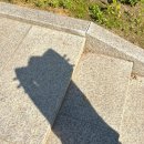 곰팅이비어 | 5월은 푸르지오