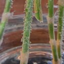 유명림행정사사무소 이미지