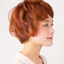 헤어보브 이미지