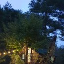 숲속 트리하우스 이미지