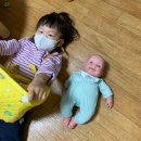 코~오 자자 이미지