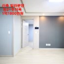 서호동-16 이미지