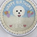 꾸밤꾸밤 이미지