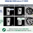 한약재 방풍, 뼈 재생 촉진 효과 첫 규명 이미지