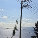 울릉도 올레펜션 | 울릉도 자유여행 숙소 추천 가성비 최고 울릉도 올레펜션