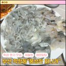 풍성한회나라 이미지