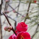 한성칼국수 이미지