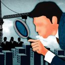 모녀청과 이미지