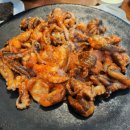 일산쭈꾸미 이미지