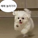 성바오로유치원 | 인천 신포국제시장 맛집 먹거리 투어｜유명 먹거리 2곳 솔직 포장 후기(+주차정보까지)