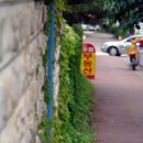 문수로 75번길 이미지