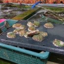 해남가스충전소 이미지