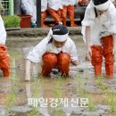 김호영농장 이미지