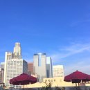 킹덤 호스텔 이미지