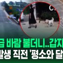 [현장영상] "태풍급 바람 불더니..갑자기 쾅" 지진 발생 직전 '평소와 달랐다'?-SBS 뉴스 이미지