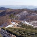 봉화천 | 보성 봉화산~활성산-051211