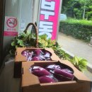 짱가수제청 이미지