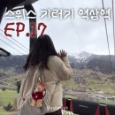 가야사슴민박 | EP.17 또 다른 버킷리스트 달성🇨🇭