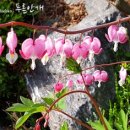 송림원 - 성북구 동소문로 25-2 | 송림원