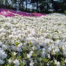 수청농장 이미지