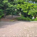 용소웰빙공원(입구) 이미지