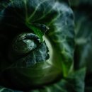 재정농장 이미지