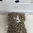 유카라이프 | 사료::강아지 성분좋은 건사료 브릿 프레쉬 독 강아지사료 생육 치킨 그레이트 라이프 내돈내산 급여후기