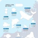 [효리원] 말랑말랑 촉감 스티커 바다동물 이미지