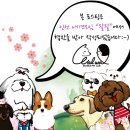 엔돌펫