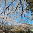 서원곡 사방댐 이미지