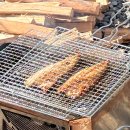 브이아이피오토캠핑장 이미지