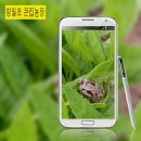 큰집농장 이미지