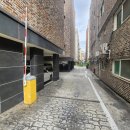 개이쁜냥 이미지