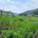 마하공인중개사사무소 이미지