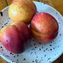 금봉 농장 | 아트팜농원 천도복숭아 후기 선물용으로도 강추하는 산지직송복숭아!