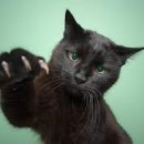 행복한발 이미지