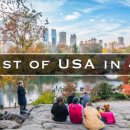 캐나다 인문 여행 이미지