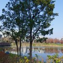 이문안호수공원 이미지