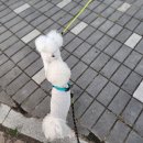 강라 행정사 사무소 이미지