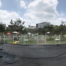 스토리펫(Story pet) 이미지