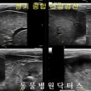 닥터스종합동물병원 이미지
