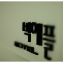 빅애플모텔