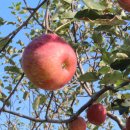 홍계마을 이미지