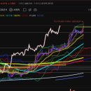 조선바이오 이미지