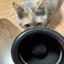 조아노래방 이미지