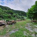 거창식당 민박 이미지