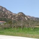 월출산바우펜션 이미지