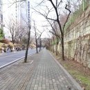 광교상떼빌파크뷰공인중개사사무소 네이버블로그