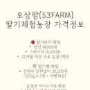 오삼~팜 이미지