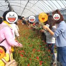 이리석암초등학교병설유치원 이미지